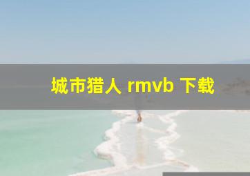 城市猎人 rmvb 下载